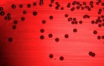 Чи можна застосовувати Мірамістін при нежиті у немовляти застосовувати