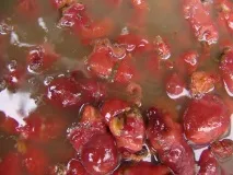 Морська тварина Pyura chilensis морська