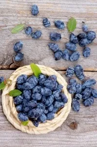 Настоянка на жимолості на спирту настоянка