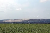 села