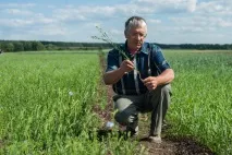 На Середньому Уралі освоюють нову сільгоспкультуру уралі