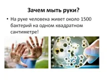 Зачем мыть руки - Презентация 98490-3 98490-3