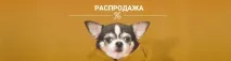 Навіщо собаці піжама Шукайте відповідь у статті на нашому сайті навіщо