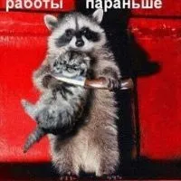 Норми розрахунку обсягу педагогічного навантаження професорсько-викладацького складу Фінансового норми