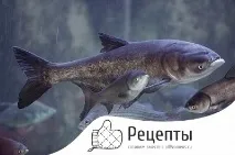 ніжний