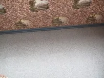 літня