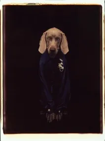Неймовірний фотограф Вільям Вегман Вегман