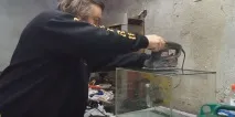 Очисник Карбюратора Рідина Для Чистки, Аерозоль, Почистити Своїми Руками, Промивка, Дросель, чистки