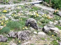 висоті