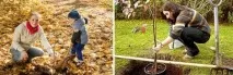 Осінь – найкращий час для посадок осінь