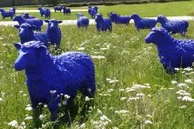 Основні визначні пам’ятки Бонна список, фото і опис, Всі визначні пам’ятки ятки