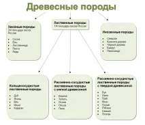 Оздоблення будинку деревом, поради щодо оформлення будинку