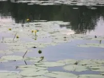 башкирії