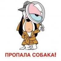 Пам’ятка для тих, хто знайшов собаку - Корисна інформація - ДОПОМОЖЕМО РАЗОМ! знайшов