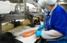 Переробка риби та морепродуктів - безвідходне виробництво переробка