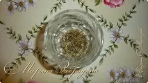 Пікантний соус для піци, Країна Майстрів піци