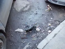 Чому я не люблю весну весну