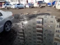 Чому я не люблю весну навесні