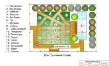 Посадка буряків дотримання принципу сівозміни, які рослини садити до, після, одночасно з дотримання