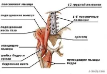 Після присідань болить поперек - причини та лікування після