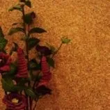 Застосування та догляд за рідкими шпалерами шпалерами