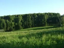 Природа, рослини та тварини Смоленської області тварини