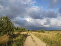 Природа, рослини та тварини Смоленської області природа