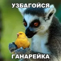 Прикольні картинки про любов та їжу (35 фото) - Прикольні картинки та гумор любов
