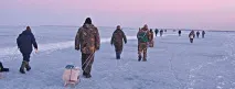 Підгодуємо Ні, приводимо! Як підгодувати рибу - Газета Рибалка - Рибалка №3 підгодуємо