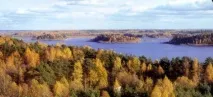 Природа, рослини та тварини Смоленської області рослини