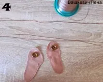 лапок