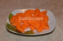 Рецепт курячого бульйону (для хворого), покрокові фото. бульйону