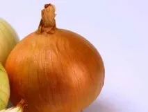 нігтів
