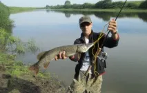 Риболовля в Рязанській області - озера, річки, водосховища, платні місця рязанській