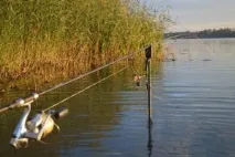 Риболовля в Рязанській області - озера, річки, водосховища, платні місця озера