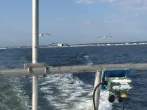 Рибалка в Новоросійську та околицях рибалка
