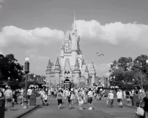 Найнеприємніші секрети «Disney» disney