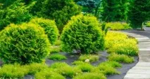 Сейфи, Ремонт та будівництво своїми руками ремонт