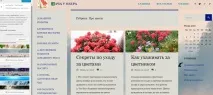 Шаблон Fluida - Тестуємо шаблон тестуємо