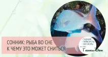 Сонник жива риба жива