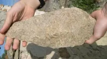Соціальні фактори антропогенезу групова співпраця, суспільний спосіб життя антропогенезу