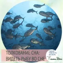 Сонник жива риба жива