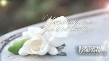 Весільні сукні -огляди Вікторія Довгань сукні