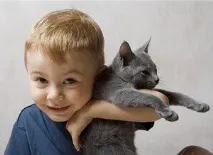 лишай