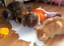 людини