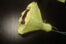 Світ-дизайн Новий рік новий