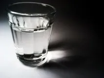 10 дивовижних фактів про кокоси - НОВИНИ У ФОТОГРАФІЯХ новини