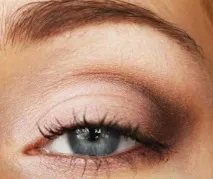 Тіні Estee Lauder Deluxe Eye Shadow Compact Pute Color - Відмінна палітра) фото - Відгуки на estee