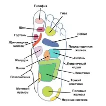 прийоми