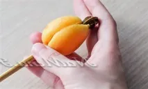 абрикосів